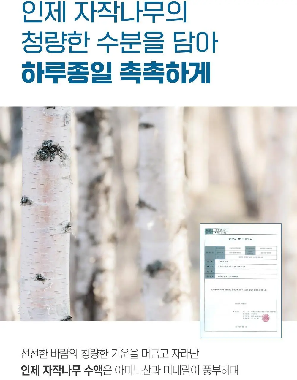 [속수분앰플] 라운드랩 자작나무 수분 앰플 50ml 기획 (+크림 20ml) 상세페이지 14